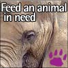 Help look after animals in shelters
